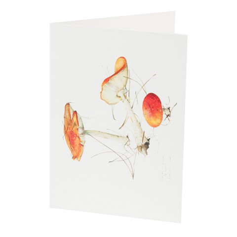 Botanical Card Fly Agaric