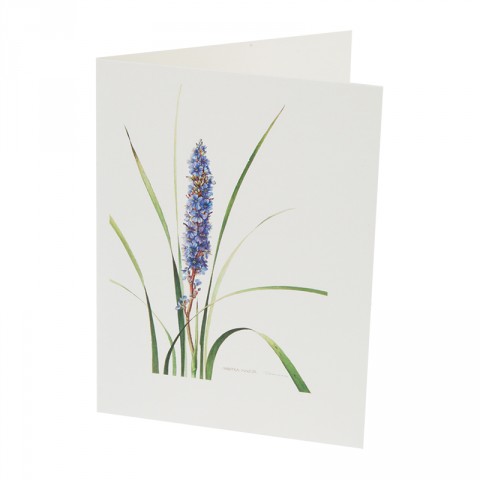 Botanical Card Aristea Major